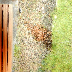 Die Eisenbahn wird verschönert